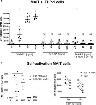 Translatome analyses by bio-orthogonal non-canonical amino acid labeling reveal that MR1-activated MAIT cells induce an M1 phenotype and antiviral programming in antigen-presenting monocytes